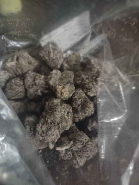 Grape Runtz cannabis strain, community photo 3