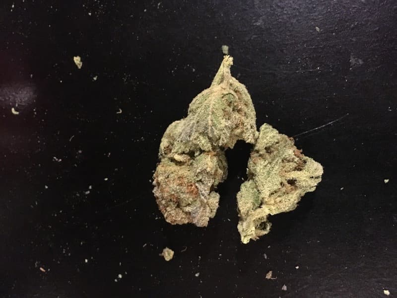 Grapefruit cannabis strain, community photo 1