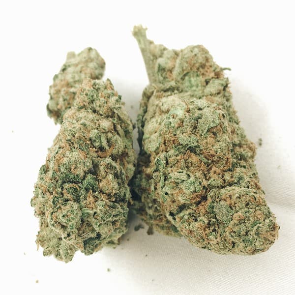 Grapefruit cannabis strain, community photo 5