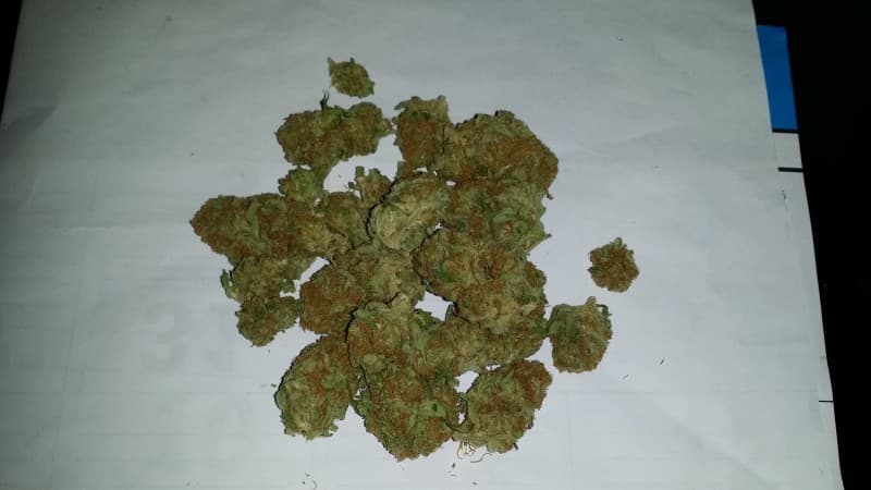 Grapefruit cannabis strain, community photo 6