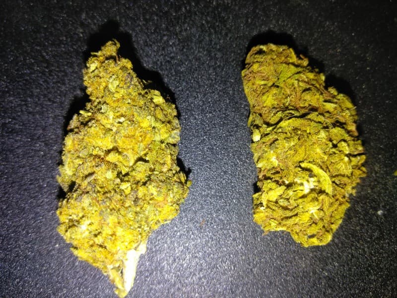 Green Candy cannabis strain, community photo 2