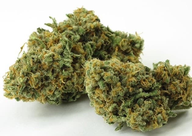 Green Crack cannabis strain, community photo 5
