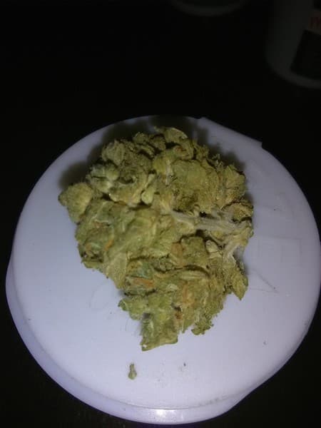 Green Crack cannabis strain, community photo 7