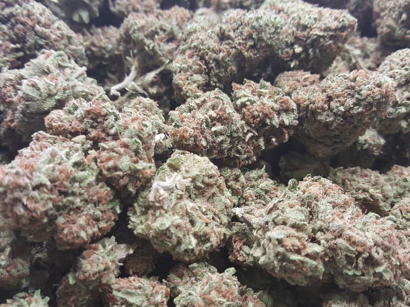 Green Kush cannabis strain, community photo 1