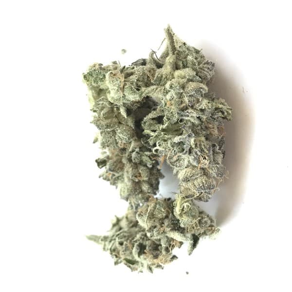 Gucci OG cannabis strain, community photo 1