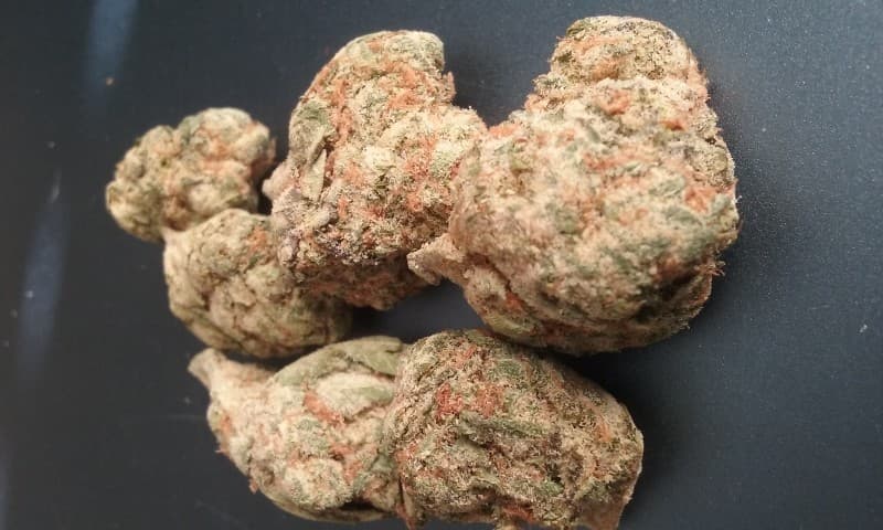 Gucci OG cannabis strain, community photo 3