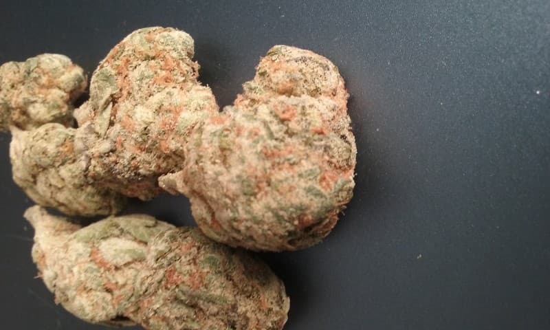 Gucci OG cannabis strain, community photo 4