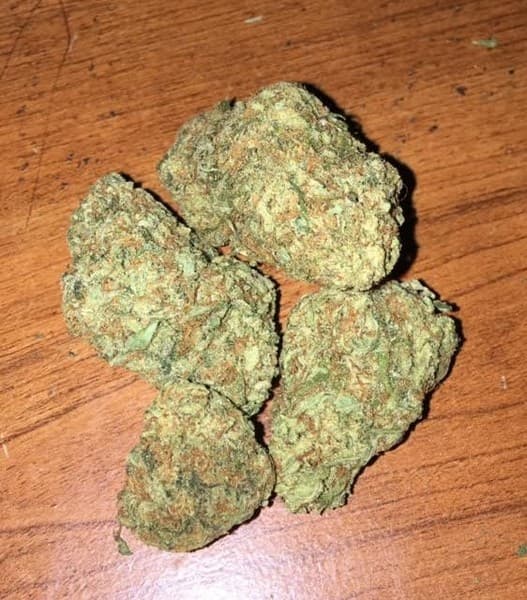 Gumbo cannabis strain, community photo 1