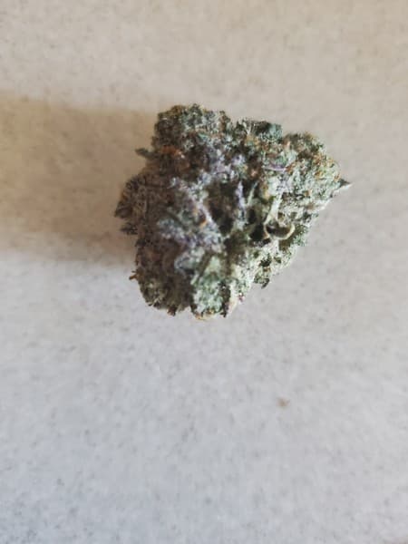 Gummy Buns cannabis strain, community photo 1