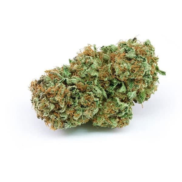 Harlequin cannabis strain, community photo 4