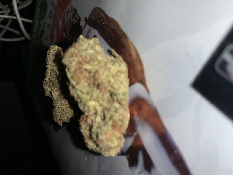 Hawaiian cannabis strain, community photo 2
