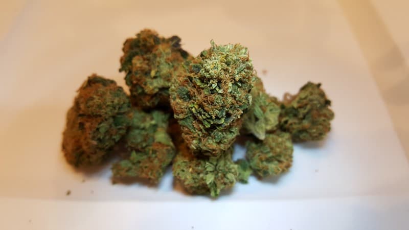 Headband cannabis strain, community photo 1
