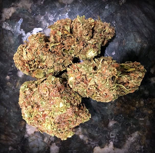 Headband cannabis strain, community photo 10