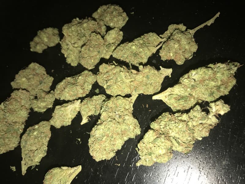 Headband cannabis strain, community photo 11