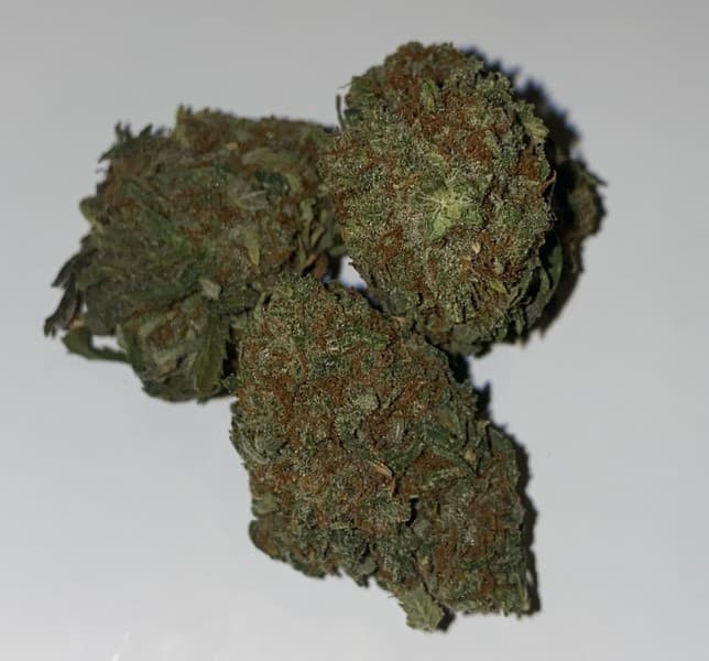 Headband cannabis strain, community photo 2
