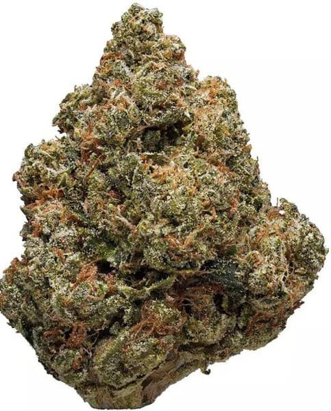 Headband cannabis strain, community photo 3