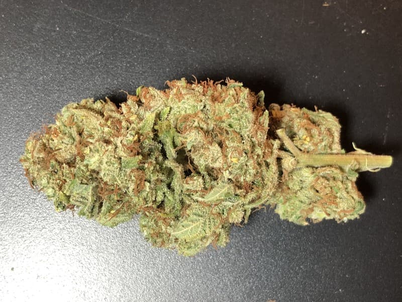 Headband cannabis strain, community photo 4
