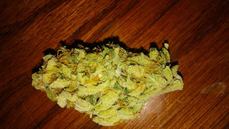 Headband cannabis strain, community photo 6