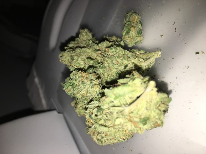 Headband cannabis strain, community photo 8