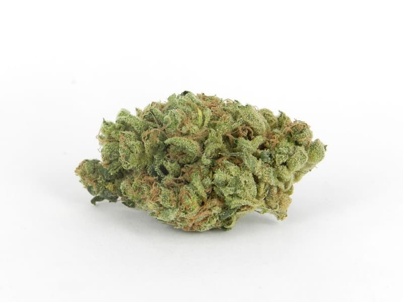 Headband cannabis strain, community photo 9