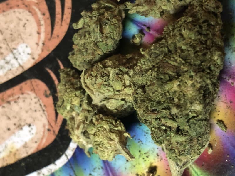 Headbanger cannabis strain, community photo 3