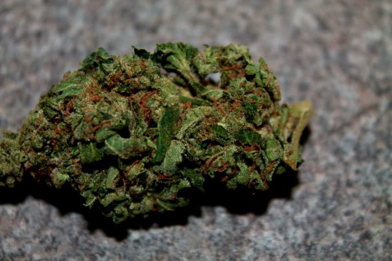 Headbanger cannabis strain, community photo 4