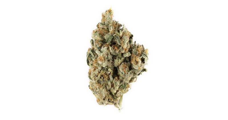 Hella Jelly cannabis strain, community photo 1