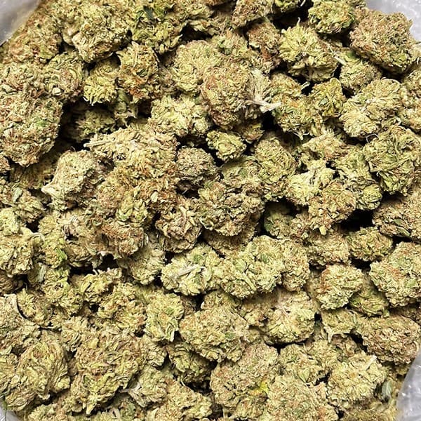 Hella Jelly cannabis strain, community photo 2