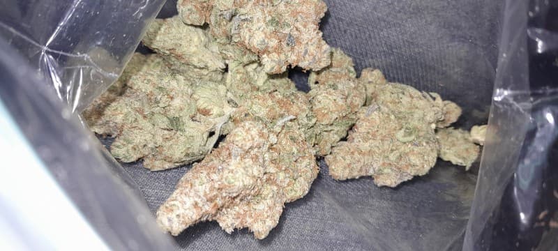Hella Jelly cannabis strain, community photo 3