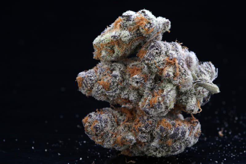Honey Bun cannabis strain, community photo 1
