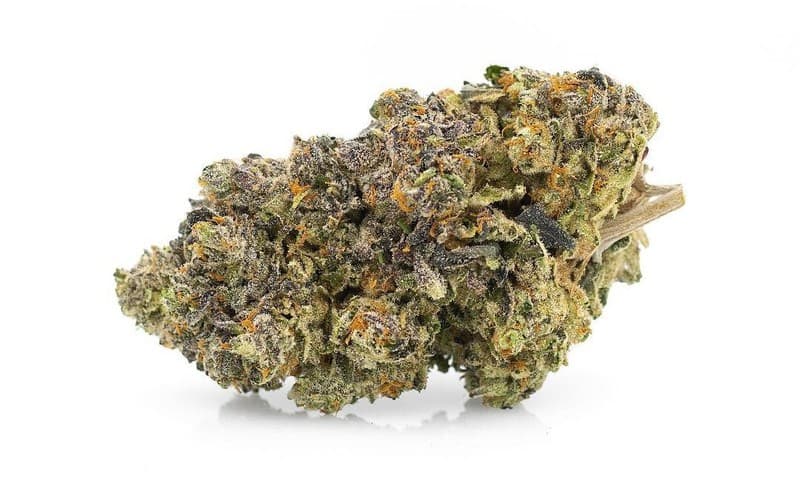 Honey Bun cannabis strain, community photo 2