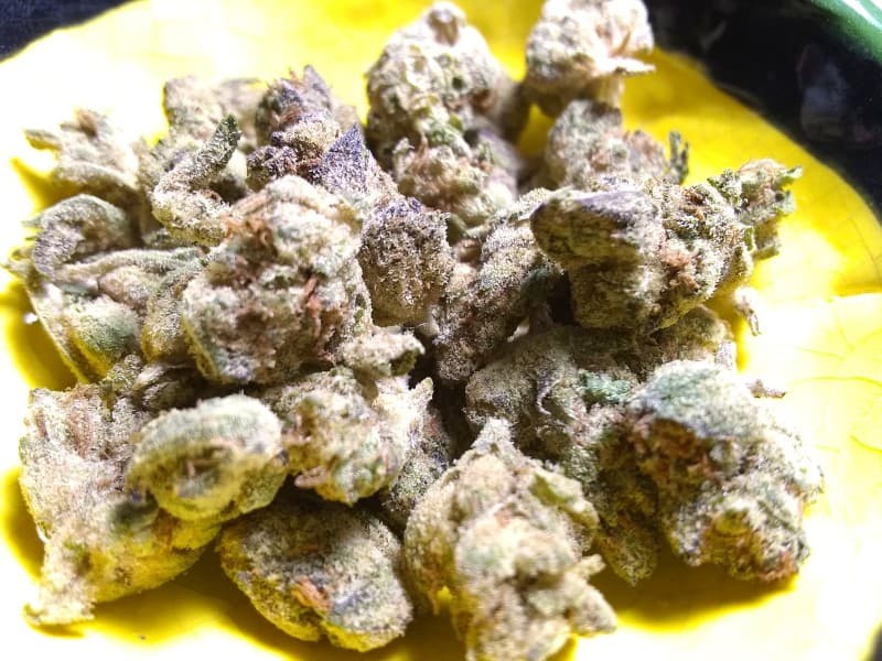 Honey Bun cannabis strain, community photo 3