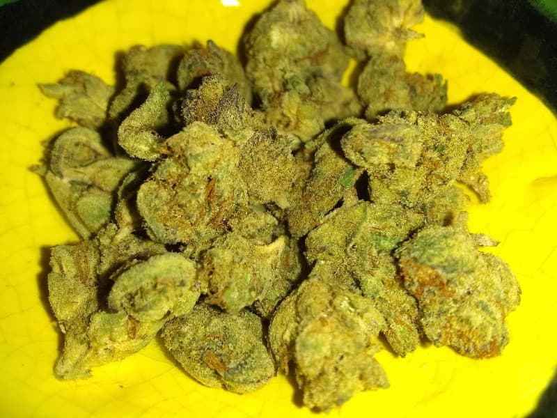 Honey Bun cannabis strain, community photo 4