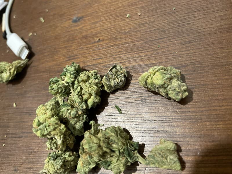 Horchata cannabis strain, community photo 4