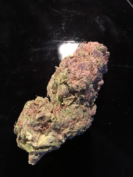 Huckleberry cannabis strain, community photo 3
