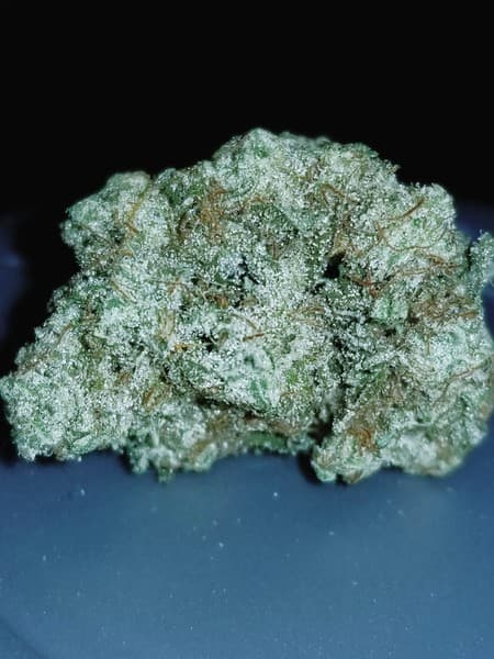 Humboldt cannabis strain, community photo 1