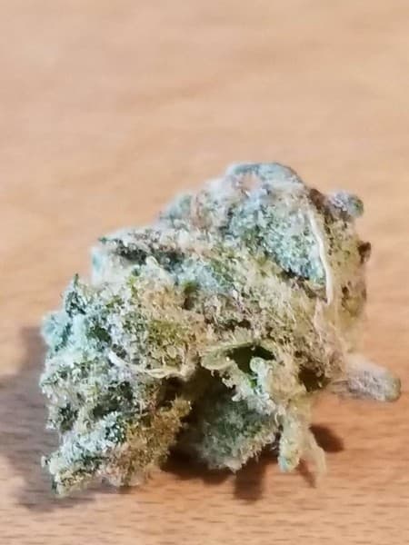 Ice cannabis strain, community photo 2