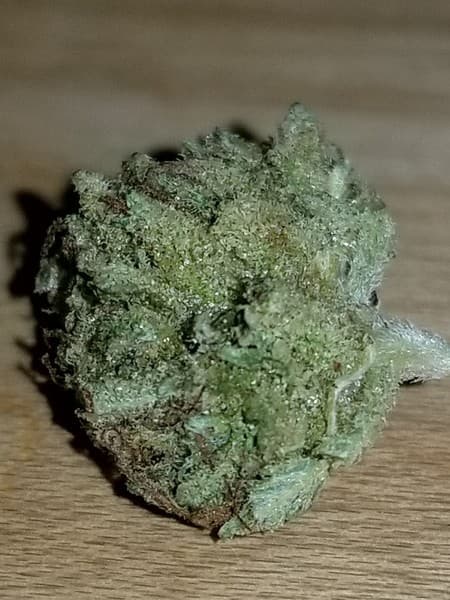 Ice cannabis strain, community photo 3