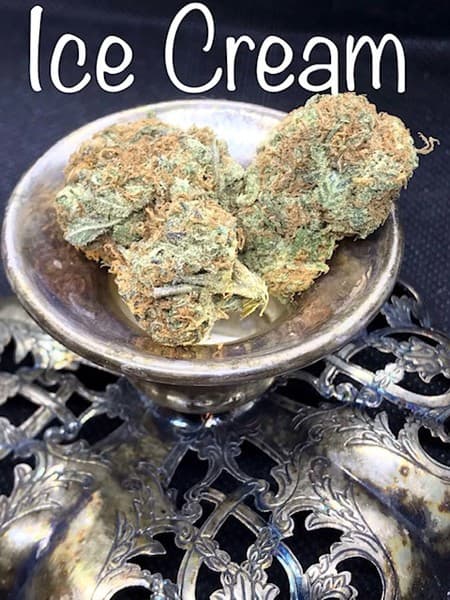 Ice Cream cannabis strain, community photo 1