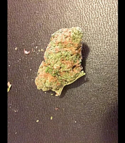 Iced Widow cannabis strain, community photo 3