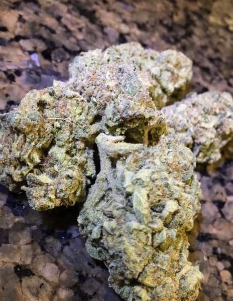 Inferno OG cannabis strain, community photo 1