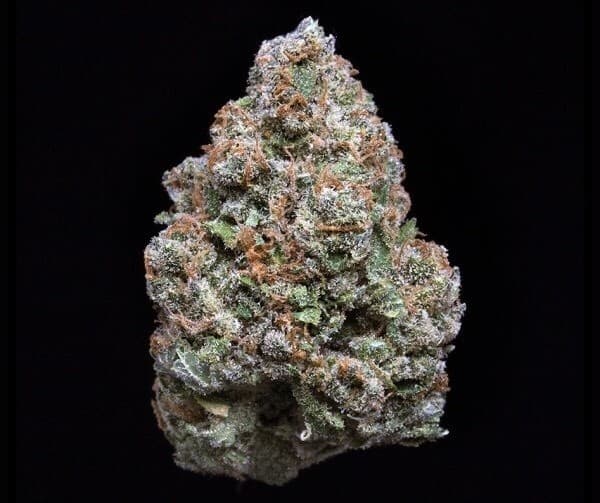 Jack Frost cannabis strain, community photo 1