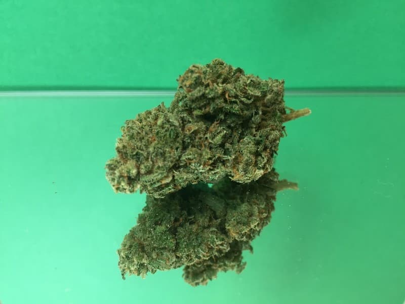 Jack Frost cannabis strain, community photo 3