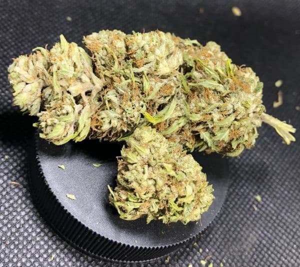 Jack Frost cannabis strain, community photo 4