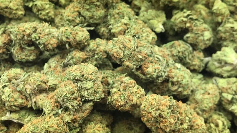 Jack Frost cannabis strain, community photo 5