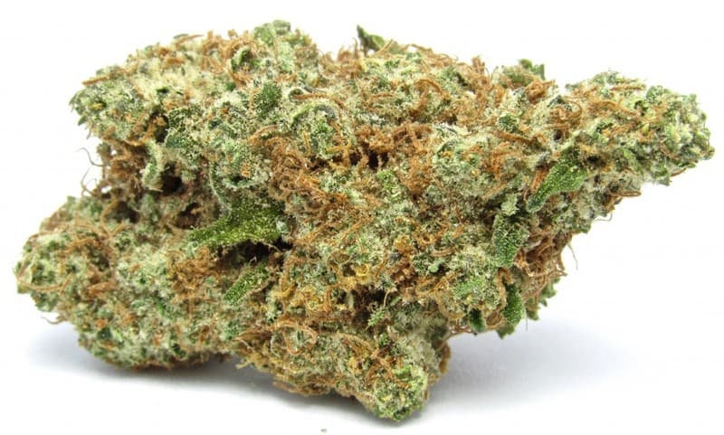 Jack Frost cannabis strain, community photo 6