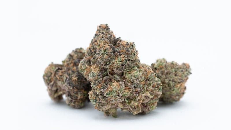 Jack Herer cannabis strain, community photo 1