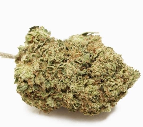 Jack Herer cannabis strain, community photo 6