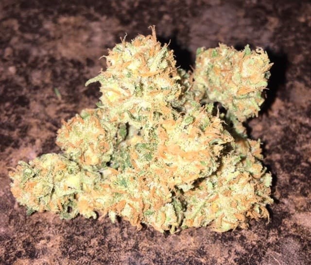 Jack Herer cannabis strain, community photo 7