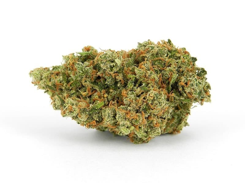 Jack Herer cannabis strain, community photo 9